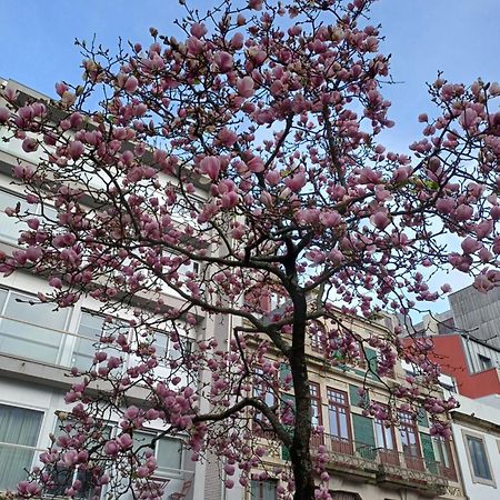 Otf- Porto Centro Lägenhet Exteriör bild