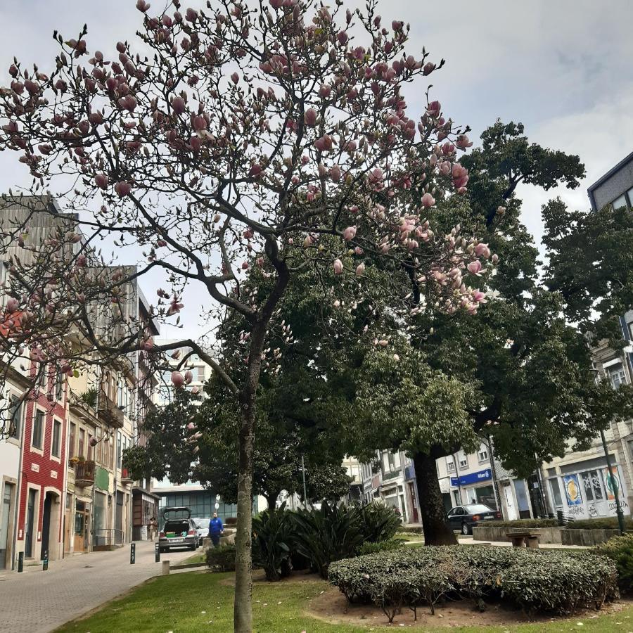 Otf- Porto Centro Lägenhet Exteriör bild