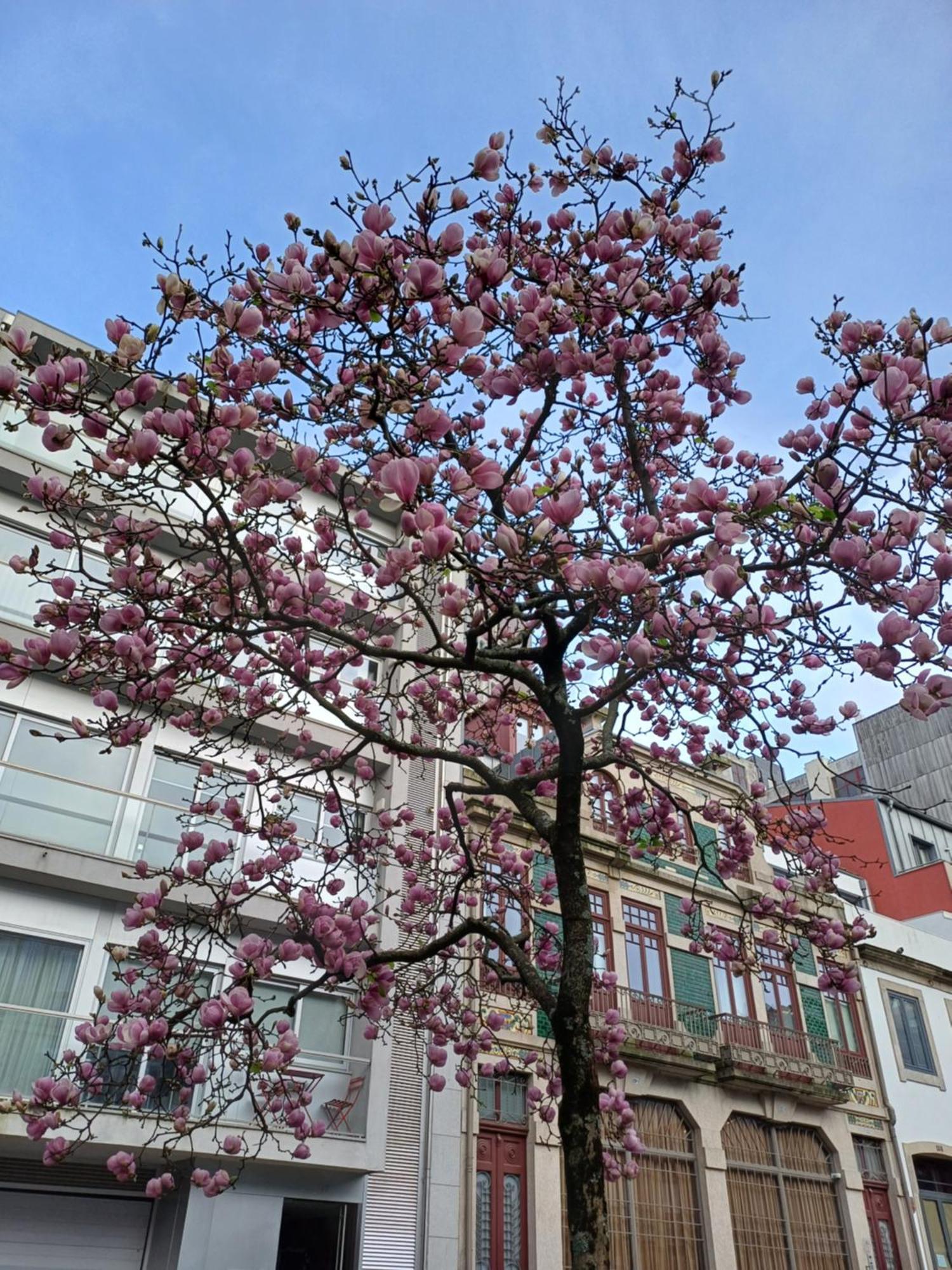 Otf- Porto Centro Lägenhet Exteriör bild